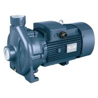 Моноблочный насос с резьбовыми патрубками Purity PCm 6C (N)