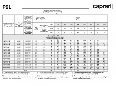 Вертикальные полупогружные насосы Caprari P9L Вертикальные полупогружные насосы Caprari P9L