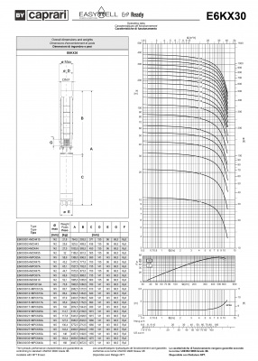 Скважинные насосы Caprari E6KX30 из нержавеющей стали Скважинные насосы Caprari E6KX30 из нержавеющей стали