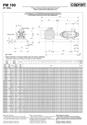 Горизонтальные многоступенчатые насосы высокого давления Caprari PM 100 2200 Горизонтальные многоступенчатые насосы высокого давления Caprari PM 100 2200