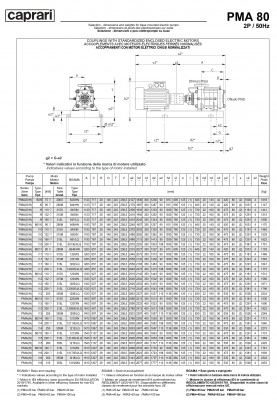 Горизонтальные многоступенчатые насосы высокого давления Caprari PMA 80 3500 Горизонтальные многоступенчатые насосы высокого давления Caprari PMA 80 3500