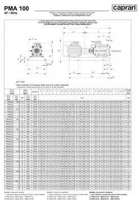 Горизонтальные многоступенчатые насосы высокого давления Caprari PMA 100 1750 Горизонтальные многоступенчатые насосы высокого давления Caprari PMA 100 1750