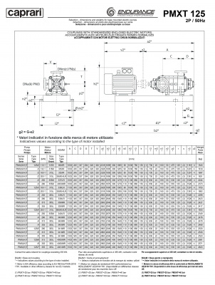 Горизонтальные секционные насосы высокого давления Caprari PMXT 125 2900 из нержавеющей стали Горизонтальные секционные насосы высокого давления Caprari PMXT 125 2900 из нержавеющей стали
