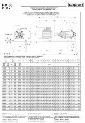 Горизонтальные многоступенчатые насосы высокого давления Caprari PM 80 1450 Горизонтальные многоступенчатые насосы высокого давления Caprari PM 80 1450