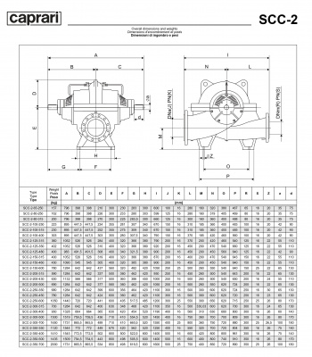 Горизонтальные насосы двустороннего входа Caprari SCC-2-300-500 1450 Горизонтальные насосы двустороннего входа Caprari SCC-2-300-500 1450