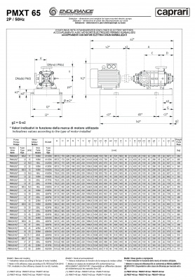 Горизонтальные секционные насосы высокого давления Caprari PMXT 65 2000 из нержавеющей стали Горизонтальные секционные насосы высокого давления Caprari PMXT 65 2000 из нержавеющей стали