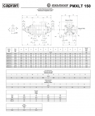 Горизонтальные секционные насосы высокого давления Caprari PMXLT 150 2200 из нержавеющей стали Горизонтальные секционные насосы высокого давления Caprari PMXLT 150 2200 из нержавеющей стали