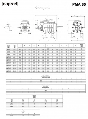 Горизонтальные многоступенчатые насосы высокого давления Caprari PMA 65 1750 Горизонтальные многоступенчатые насосы высокого давления Caprari PMA 65 1750