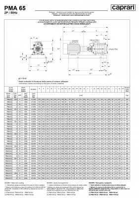 Горизонтальные многоступенчатые насосы высокого давления Caprari PMA 65 1450 Горизонтальные многоступенчатые насосы высокого давления Caprari PMA 65 1450