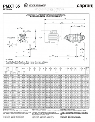 Горизонтальные секционные насосы высокого давления Caprari PMXT 65 2200 из нержавеющей стали Горизонтальные секционные насосы высокого давления Caprari PMXT 65 2200 из нержавеющей стали