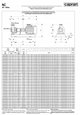 Одноступенчатые горизонтальные центробежные насосы Caprari NC 150-250 1450 Одноступенчатые горизонтальные центробежные насосы Caprari NC 150-250 1450