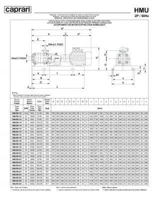Горизонтальные секционные насосы высокого давления Caprari NMU 2200 Горизонтальные секционные насосы высокого давления Caprari NMU 2200