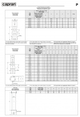 Вертикальные полупогружные насосы Caprari P8P65 Вертикальные полупогружные насосы Caprari P8P65