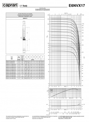 Скважинные насосы Caprari E6NVX17 из нержавеющей стали Скважинные насосы Caprari E6NVX17 из нержавеющей стали