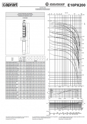 Скважинные насосы Caprari E10PX200 из нержавеющей стали Скважинные насосы Caprari E10PX200 из нержавеющей стали