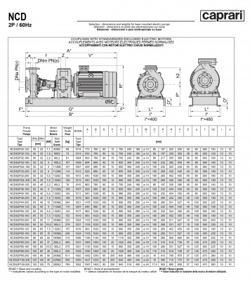 Одноступенчатые горизонтальные центробежные насосы Caprari NCDS 2P50-160 3450 Одноступенчатые горизонтальные центробежные насосы Caprari NCDS 2P50-160 3450
