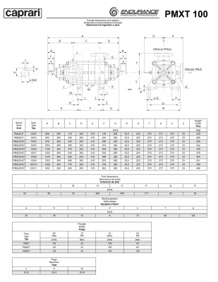Горизонтальные секционные насосы высокого давления Caprari PMXT 100 1750 из нержавеющей стали Горизонтальные секционные насосы высокого давления Caprari PMXT 100 1750 из нержавеющей стали