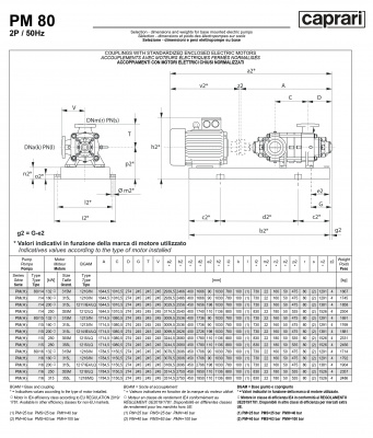 Горизонтальные многоступенчатые насосы высокого давления Caprari PM 80 3500 Горизонтальные многоступенчатые насосы высокого давления Caprari PM 80 3500
