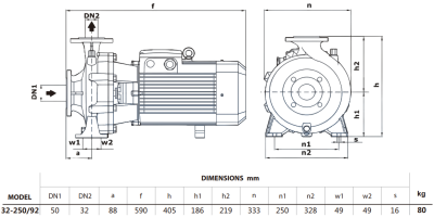 Центробежный насос Purity PSTG-R5 32-250/92