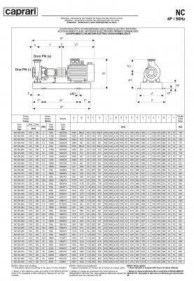 Одноступенчатые горизонтальные центробежные насосы Caprari NC 125-200 2900 Одноступенчатые горизонтальные центробежные насосы Caprari NC 125-200 2900