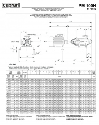 Горизонтальные многоступенчатые насосы высокого давления Caprari PM 100 1750 Горизонтальные многоступенчатые насосы высокого давления Caprari PM 100 1750