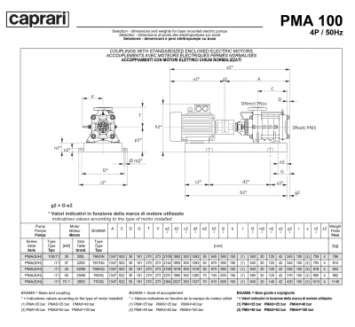 Горизонтальные многоступенчатые насосы высокого давления Caprari PMA 100 1750 Горизонтальные многоступенчатые насосы высокого давления Caprari PMA 100 1750