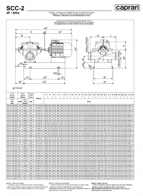 Горизонтальные насосы двустороннего входа Caprari SCC-2-125-480 1450 Горизонтальные насосы двустороннего входа Caprari SCC-2-125-480 1450