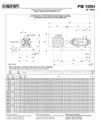 Горизонтальные многоступенчатые насосы высокого давления Caprari PM 100 2000 Горизонтальные многоступенчатые насосы высокого давления Caprari PM 100 2000