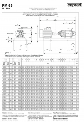 Горизонтальные многоступенчатые насосы высокого давления Caprari PM 65 2000 Горизонтальные многоступенчатые насосы высокого давления Caprari PM 65 2000