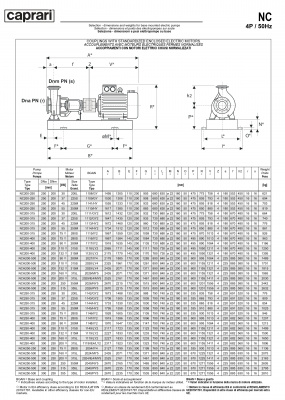 Одноступенчатые горизонтальные центробежные насосы Caprari NC 200-400 1450 Одноступенчатые горизонтальные центробежные насосы Caprari NC 200-400 1450
