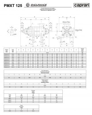Горизонтальные секционные насосы высокого давления Caprari PMXT 125 1450 из нержавеющей стали Горизонтальные секционные насосы высокого давления Caprari PMXT 125 1450 из нержавеющей стали