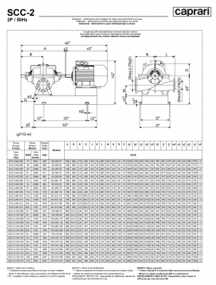 Горизонтальные насосы двустороннего входа Caprari SCC-2-100-315 1450 Горизонтальные насосы двустороннего входа Caprari SCC-2-100-315 1450