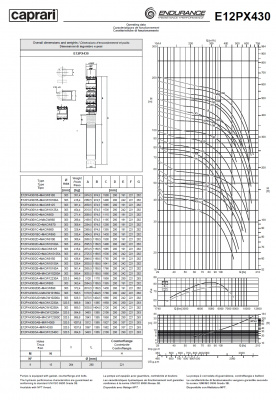 Скважинные насосы Caprari E12PX430 из нержавеющей стали Скважинные насосы Caprari E12PX430 из нержавеющей стали