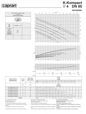 Сухая установка фекального насоса Caprari K-KOMPACT 4 DN 80 KKCW080H Сухая установка фекального насоса Caprari K-KOMPACT 4 DN 80 KKCW080H