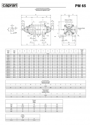 Горизонтальные многоступенчатые насосы высокого давления Caprari PM 65 2200 Горизонтальные многоступенчатые насосы высокого давления Caprari PM 65 2200