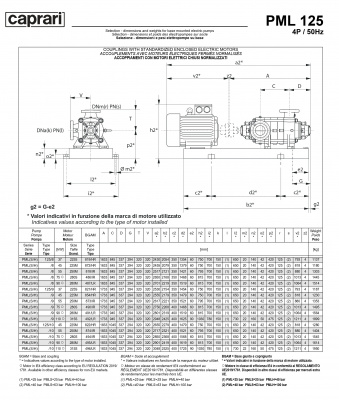 Горизонтальные многоступенчатые насосы высокого давления Caprari PML 125 2200 Горизонтальные многоступенчатые насосы высокого давления Caprari PML 125 2200