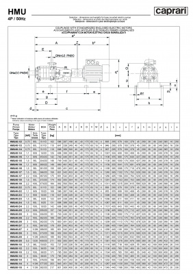 Горизонтальные секционные насосы высокого давления Caprari NMU 2000 Горизонтальные секционные насосы высокого давления Caprari NMU 2000