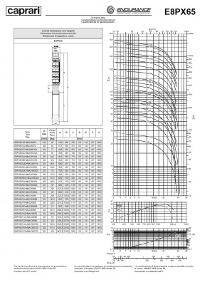 Скважинные насосы Caprari E8PX65 из нержавеющей стали Скважинные насосы Caprari E8PX65 из нержавеющей стали