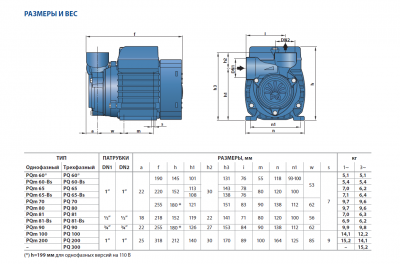 Поверхностный насос с вихревым рабочим колесом Pedrollo PQm 80 Поверхностный насос с вихревым рабочим колесом Pedrollo PQm 80