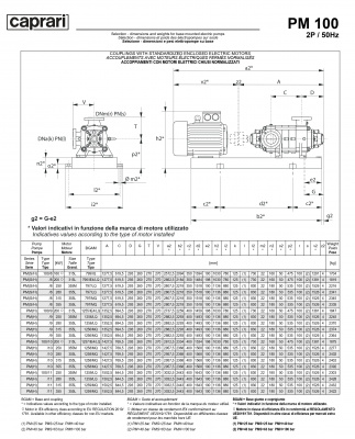Горизонтальные многоступенчатые насосы высокого давления Caprari PM 100 2900 Горизонтальные многоступенчатые насосы высокого давления Caprari PM 100 2900