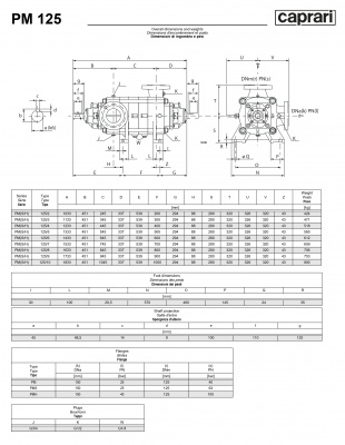 Горизонтальные многоступенчатые насосы высокого давления Caprari PM 125 2000 Горизонтальные многоступенчатые насосы высокого давления Caprari PM 125 2000