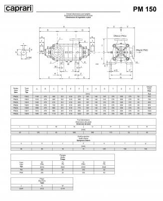 Горизонтальные многоступенчатые насосы высокого давления Caprari PM 150 2000 Горизонтальные многоступенчатые насосы высокого давления Caprari PM 150 2000