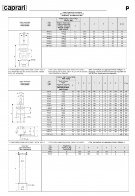 Вертикальные полупогружные насосы Caprari P6P45 Вертикальные полупогружные насосы Caprari P6P45