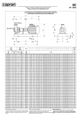 Одноступенчатые горизонтальные центробежные насосы Caprari NC 100-250 1450 Одноступенчатые горизонтальные центробежные насосы Caprari NC 100-250 1450