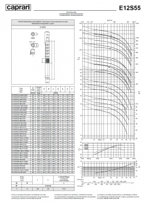 Скважинные насосы Caprari E12S55 из чугуна Скважинные насосы Caprari E12S55 из чугуна