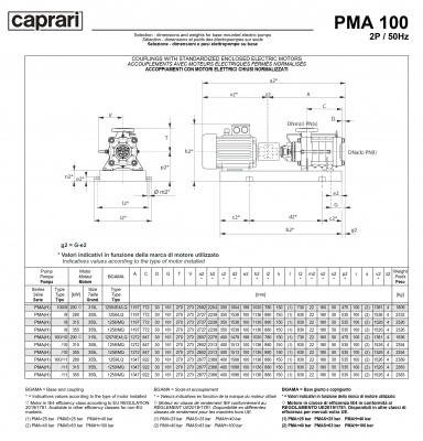 Горизонтальные многоступенчатые насосы высокого давления Caprari PMA 100 1750 Горизонтальные многоступенчатые насосы высокого давления Caprari PMA 100 1750