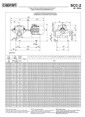 Горизонтальные насосы двустороннего входа Caprari SCC-2-100-315 1450 Горизонтальные насосы двустороннего входа Caprari SCC-2-100-315 1450