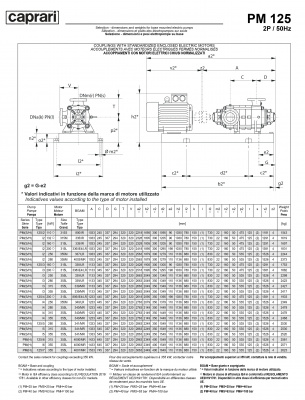 Горизонтальные многоступенчатые насосы высокого давления Caprari PM 125 2200 Горизонтальные многоступенчатые насосы высокого давления Caprari PM 125 2200