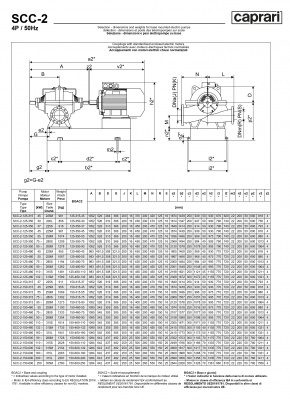 Горизонтальные насосы двустороннего входа Caprari SCC-2-125-315 1450 Горизонтальные насосы двустороннего входа Caprari SCC-2-125-315 1450