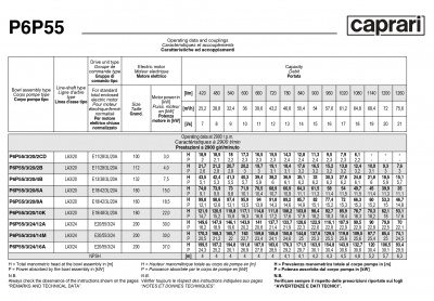 Вертикальные полупогружные насосы Caprari P6P55 Вертикальные полупогружные насосы Caprari P6P55